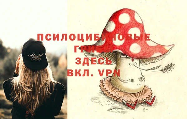 кокс Алзамай