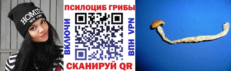 Галлюциногенные грибы GOLDEN TEACHER  где продают   Дудинка 